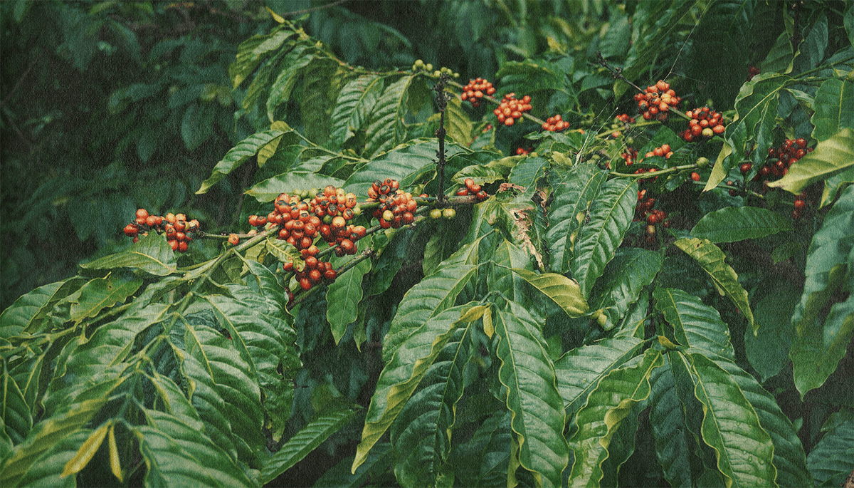 Globally Sourced. Mission Ready.